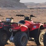 Sunset Desert Safari Trip By ATV Quad and Camel Ride in Marsa Alam - Final Thoughts: Who Will Love This Tour?