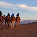 Sunset Dinner in Marrakech Desert with Quad bike - The Itinerary: A Closer Look at the Experience