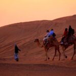 Sunset Evening Safari,Camel ride,live shows and BBQ Dinner with No Hidden Charge - Who Will Love This Tour?