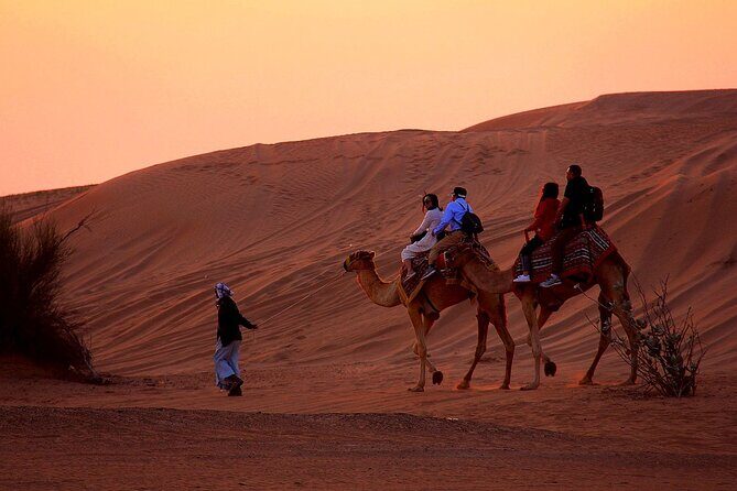 Sunset Evening Safari,Camel ride,live shows and BBQ Dinner with No Hidden Charge - Who Will Love This Tour?