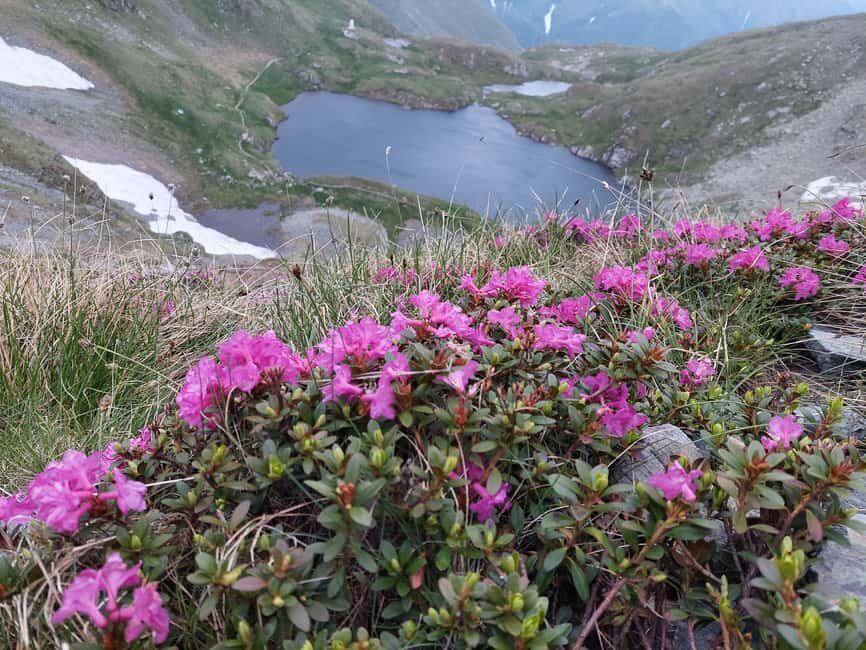 Sunset Hike on Transfgran: Buteanu & Capra glaciary lake - The Trail to Buteanu & Capra Glacier Lake