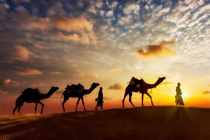 Sunset or Sunrise Camel ride in the Sahara Desert of Douz - Key Points