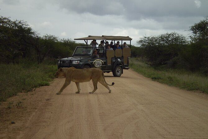 Sunset Safari of Kruger National Park - The Sum Up