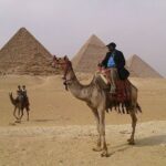 Sunset Safari Tour By Horse or Camel Ride - An In-Depth Look at the Sunset Safari Tour