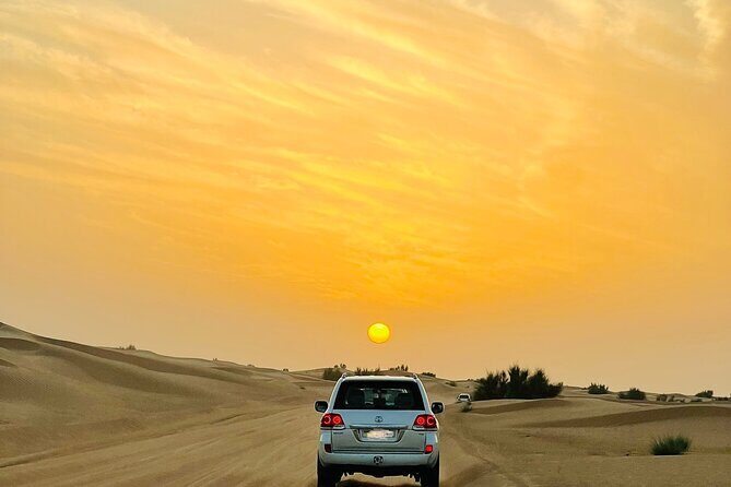 Sunset Safari with BBQ Dune Drive Camel Ride & Dune Buggy option - First Stop: The Desert Bash