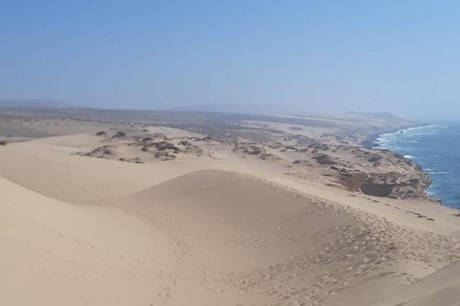 Sunset Sandboarding & Mint Tea in Timlaline Dunes - What the Reviews Say
