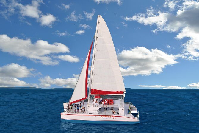 Sunset Sip and Sail Key West with Open Bar and Live Music - Why This Tour Stands Out