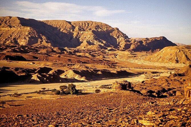 Super Quad Bike Desert Safari From Marsa Alam - Potential Drawbacks & Considerations