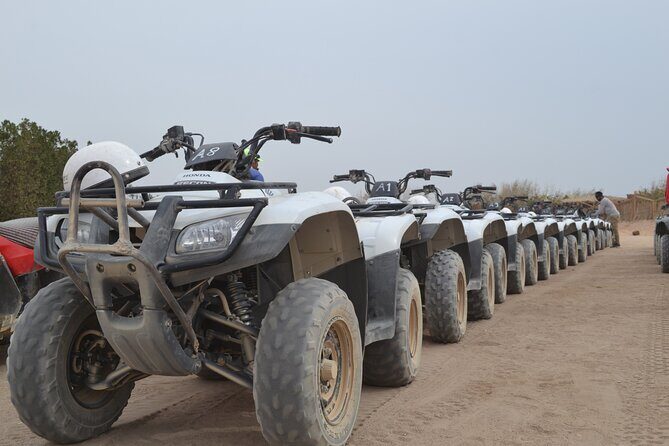 Super Safari ATV, Drive Buggy Car, Camel Ride, Bedouin Dinner, Show-Hurghada - Is It Worth It?