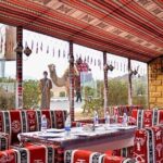 Super Safari ATV or Buggy with "Bedouin Dinner, Camel & Show" - What Travelers Say