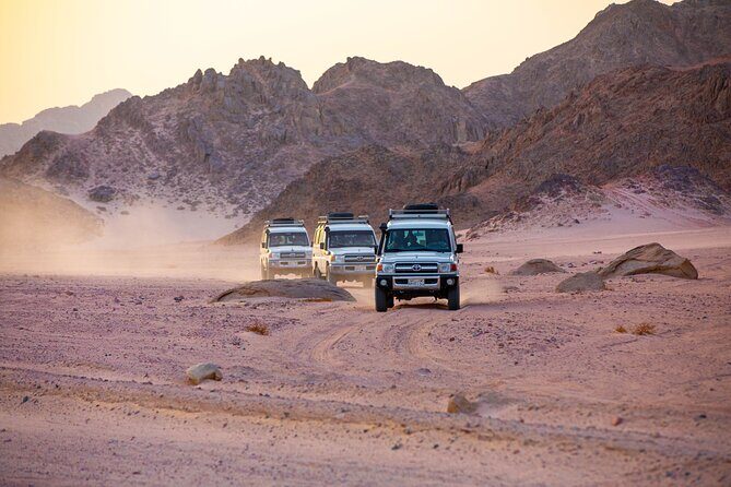 Super Safari Full Day Quad Jeep Camel and Buggy & Dinner_Hurghada - Exploring Bedouin Life