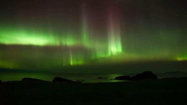 Svolvær: Northern Lights Tour with Hot Drinks & Photos - The Experience in Detail