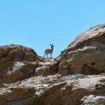 Swakop River Valley & Spitzkoppe Full Day 4x4 tour from Walvis Bay - What the Reviews Say