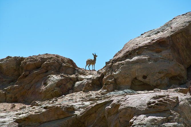 Swakop River Valley & Spitzkoppe Full Day 4x4 tour from Walvis Bay - What the Reviews Say
