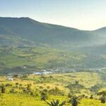 Swaziland Day Tour - Why This Tour Offers Real Value