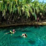 Swim to Materuni and Kikuletwa Hotspring - Practical Tips for Making the Most of Your Day