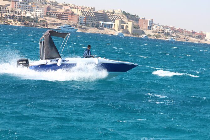 Swim with dolphin By Private Speed Boat and Sub wing Game - Hurghada - The Experience You Get for the Price