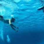 Swim with Dolphins Semi Private Speedboat Sea Tour - Hurghada - Snorkeling Adventures