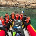 Swim with the Seals in Plettenberg Bay - What Makes the Seal Encounter Special?