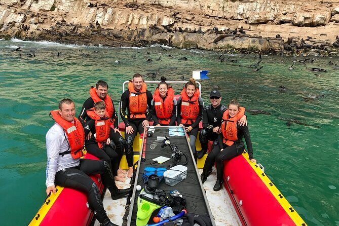 Swim with the Seals in Plettenberg Bay - What Makes the Seal Encounter Special?