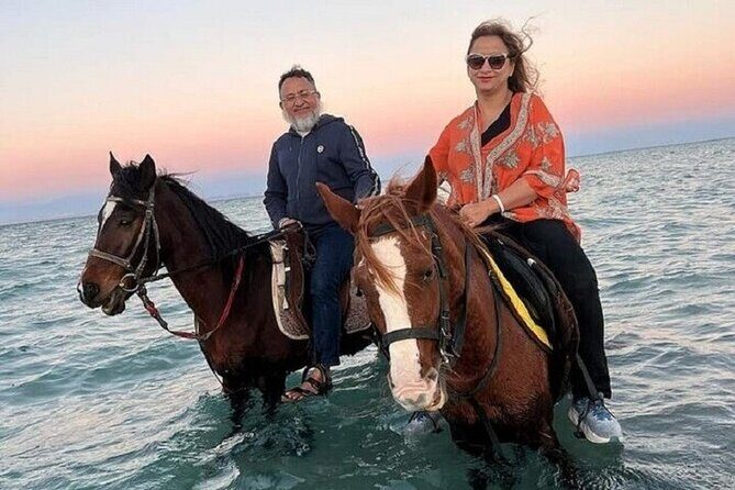 Swimming by Horse 3 Hours ,Beach, Desert & Dinner - Hurghada - Insights from Guest Reviews