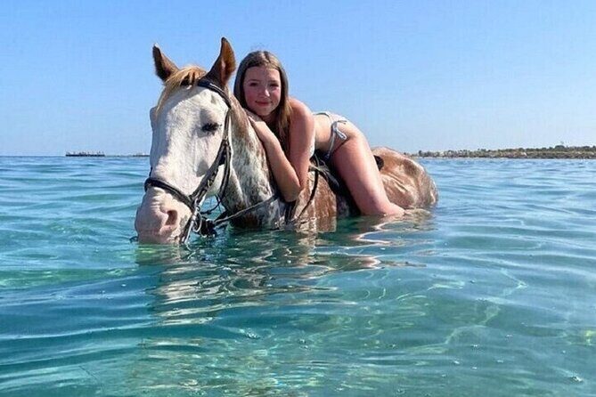 Swimming by Horse at Red Sea Beach & Desert with Dinner- Hurghada - The Value and Practicalities