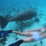 Swimming with Turtles in Abu Dabbab & Transfer -Hurghada - What Makes This Tour Stand Out?