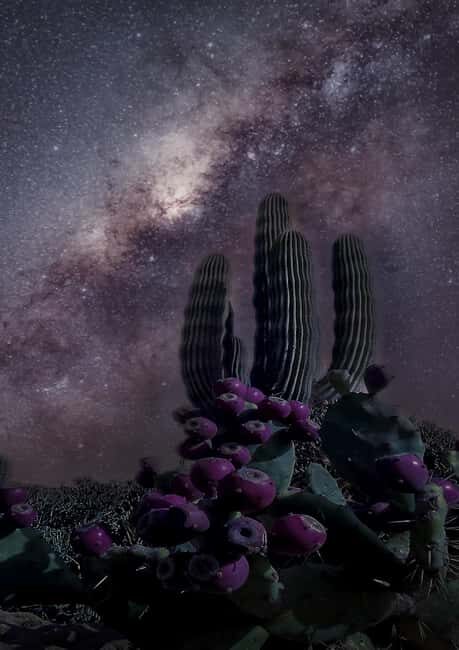 Tabernas Desert: Night of Stars with Telescopes - A Closer Look at the Experience