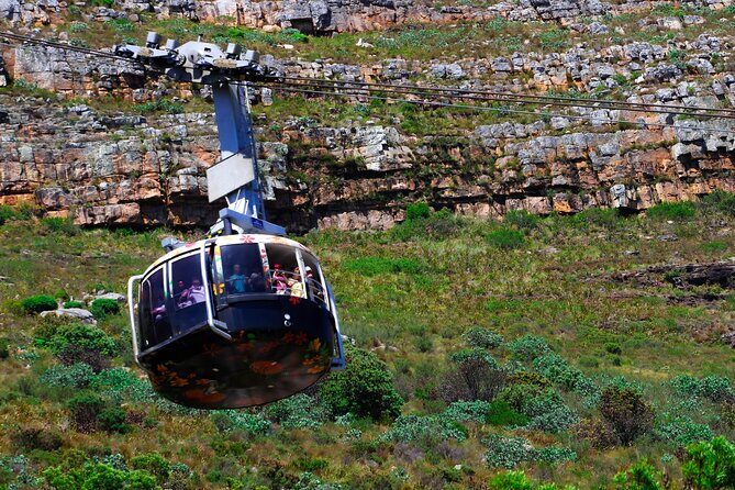 Table Mountain and Cape Peninsula Tour with Penguins - The Value of This Tour