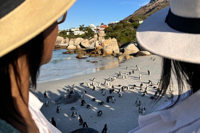 Table Mountain and Penguins Private Half Day Tour - Practical Tips and Considerations