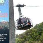 Table Mountain Boulder's Beach and Cape Point - What This Tour Offers in Terms of Value