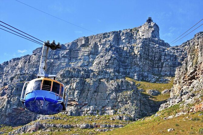 Table Mountain, Boulder's Penguins & Cape Point Private Tour from Cape Town - The Practical Side: What You Need to Know