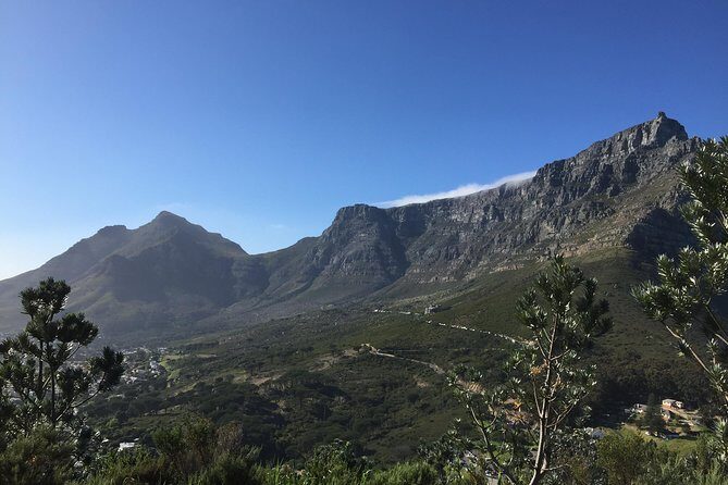 Table Mountain Hike (All routes) - Private Tour - Authentic Insights from Reviewers