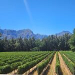 Table Mountain, Historic City and Winelands Private Day Tour - Handcrafted African Jewelry at Afrogem