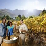 Table Mountain, Kirstenbosch and Constantia Winelands Full Day Private Tour - Who Is This Tour Best For?