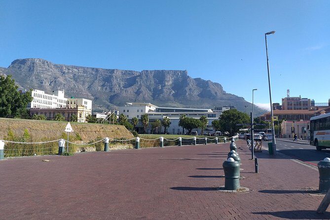 Table Mountain, Penguins, Cape of good hope and Stellenbosch tour - Practical Aspects & What to Expect