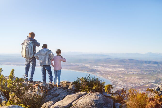 Table Mountain, Penguins & Cape of Good Hope Small Group Top Tour from Cape Town - Practical Details and Tips