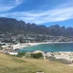 Table Mountain, Penguins & Cape of Good Hope Small Group Tour - Who Will Love This Tour?