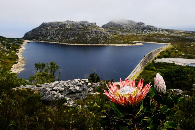 Table Mountain Summit Hike via Kasteelspoort - Who Should Consider This Tour?