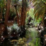Tafraout the Anti Atlas and the canyon of Ait Mansour 2 Days 1 night - Authenticity and Cultural Insights
