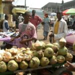 Takoradi Shore Excursion - Who Is This Tour Best For?