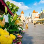Tallinn Old Town: Stories and Views 2Hour Walking Tour - The Sum Up: Is This Tour Right for You?