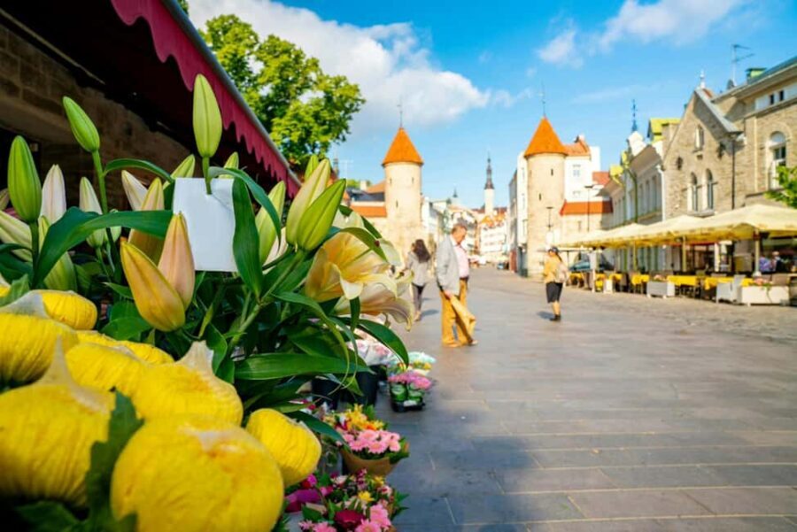 Tallinn Old Town: Stories and Views 2Hour Walking Tour - The Sum Up: Is This Tour Right for You?
