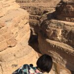Tamerza, Chebika, Mides Canyons and Star Wars Full-Day Tour - The Sum Up