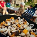 Tampere: Mushroom Picking and Tasting Tour with Meal - Final thoughts