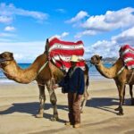 Tangier City Tour - Transportation and Group Size