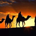 Tangier: Day Trip from Tarifa To Tanger { camel ride - Practical Details and Tips