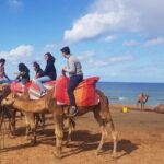 Tangier : Guided City Tour Around Main Points of Interest - Who Would Love This Tour?