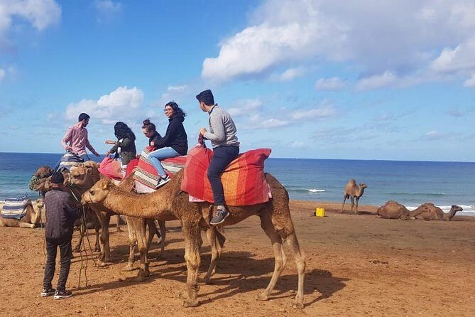 Tangier : Guided City Tour Around Main Points of Interest - Who Would Love This Tour?