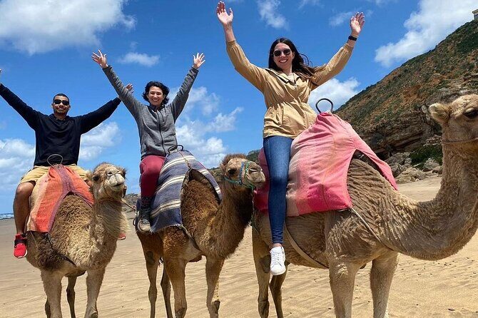 Tangier in a Day: From Medina Mystique to Ocean Views - The Heart of the Medina and the Kasbah